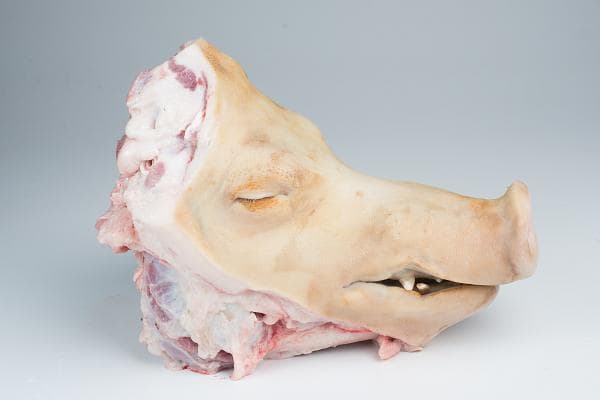 Pork head without ears